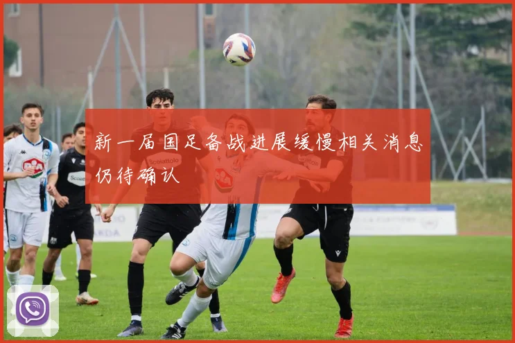 新一届国足备战进展缓慢相关消息仍待确认