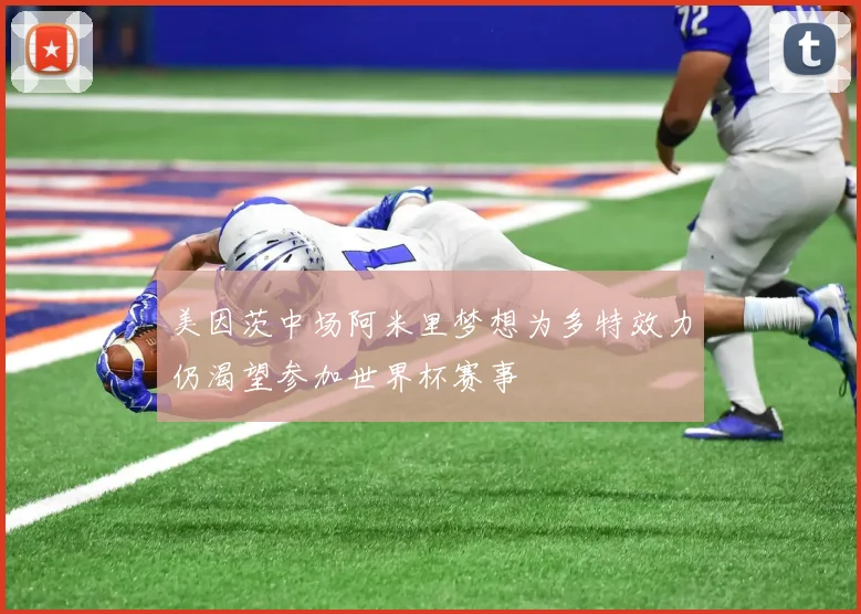 美因茨中场阿米里梦想为多特效力仍渴望参加世界杯赛事