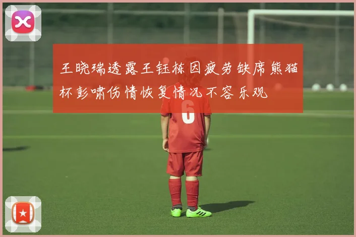 王晓瑞透露王钰栋因疲劳缺席熊猫杯彭啸伤情恢复情况不容乐观