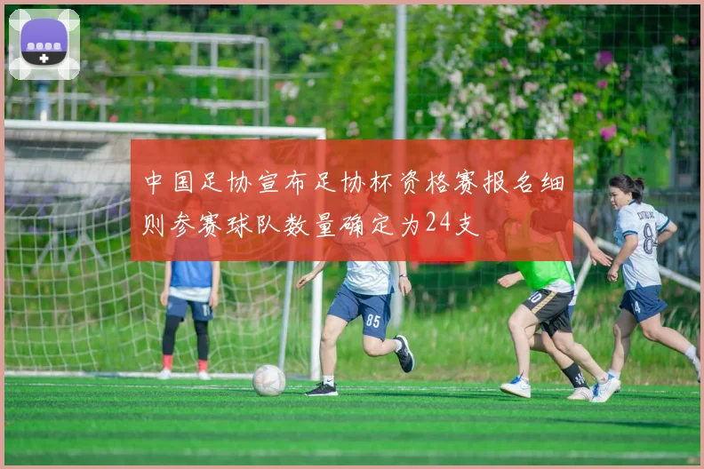 中国足协宣布足协杯资格赛报名细则参赛球队数量确定为24支