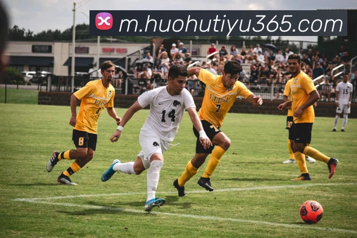 多媒体互动体验